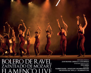 Ballet Flamenco Espanol