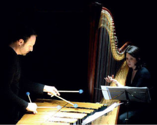 VibraHarp Duo